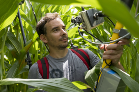 University of Georgia