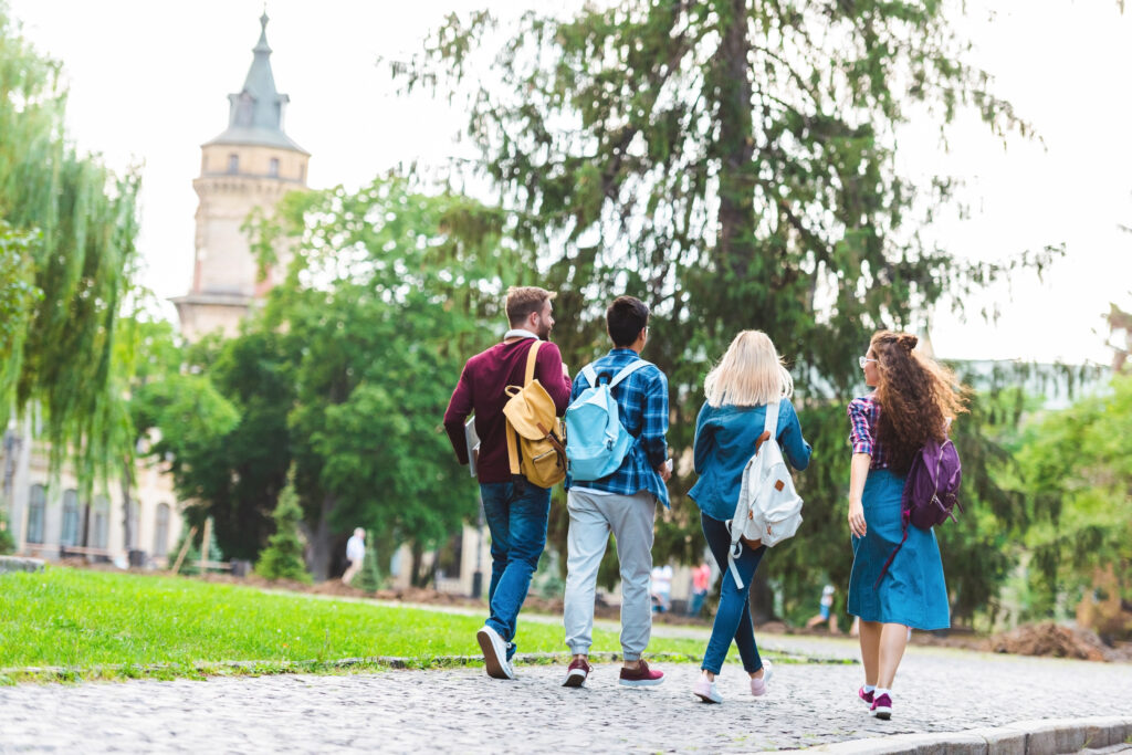 University of Luxembourg: Master policy consulting and analysis