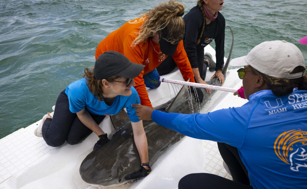 University of Miami: 4 reasons to pursue a Master of Professional Science at The Rosenstiel School