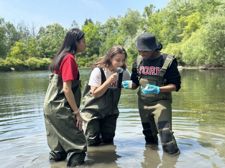 4 universities tackling climate change and urban challenges