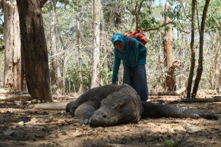 This Environmental Science student got to travel to Indonesia, Taiwan, Sweden, South Korea