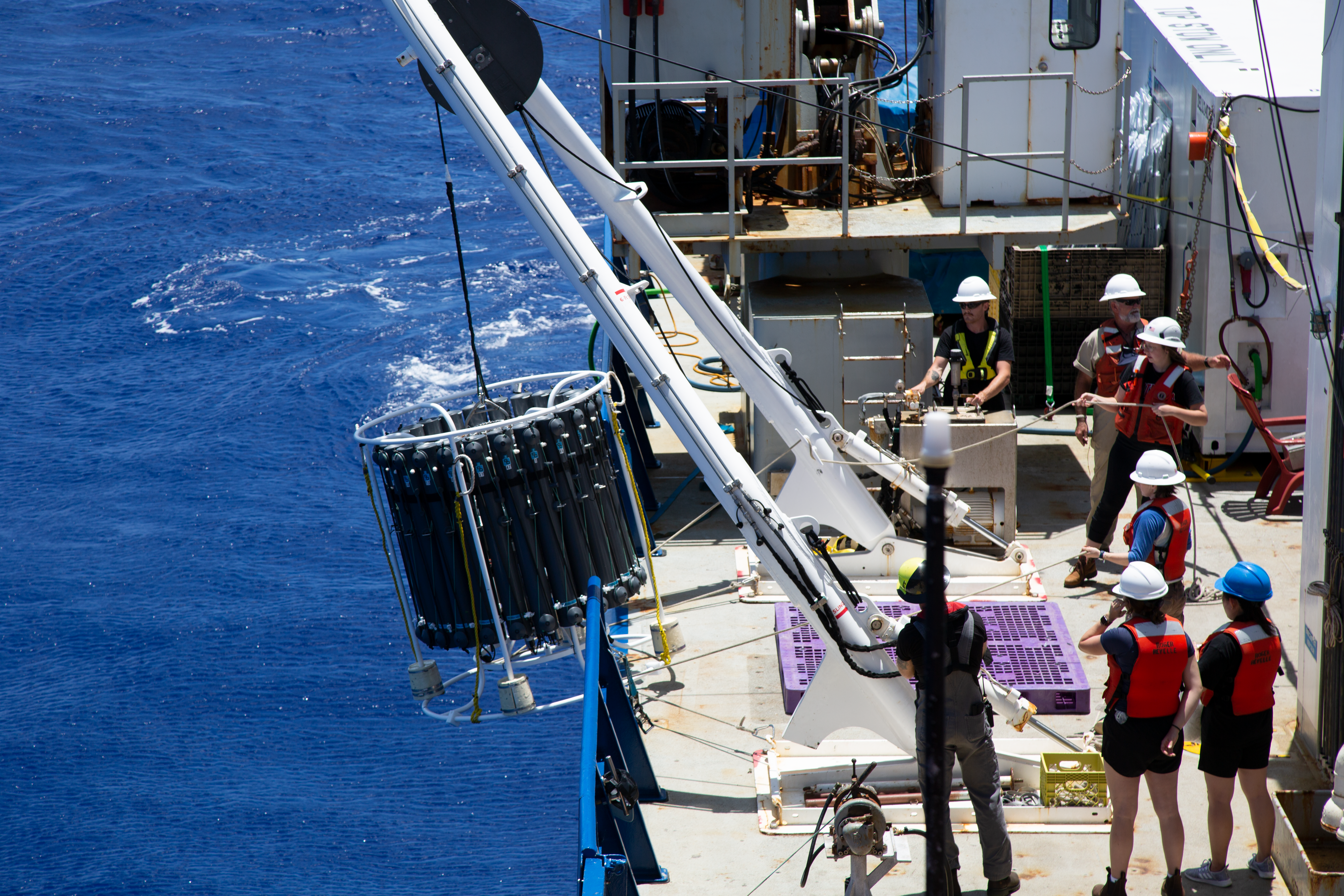 Texas A&M University: Leading the charge in ocean conservation