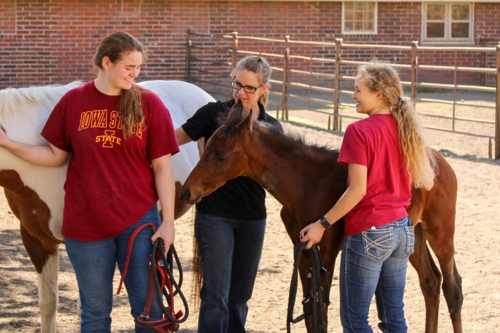 Iowa State University: A hands-on, hands-in Animal Science education