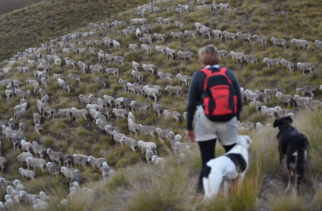 Work holiday visas: 8 best countries better than Australia and New Zealand