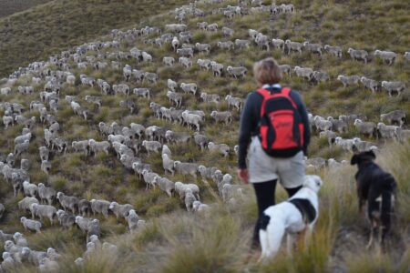Work holiday visas: 8 best countries better than Australia and New Zealand