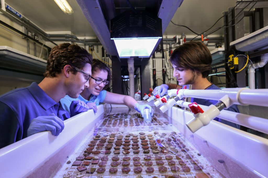 INTERACTIVE CONTENT: University of Miami, Rosenstiel School of Marine, Atmospheric and Earth Science: Dynamic careers with real-world impact