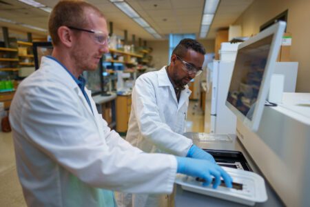 University of New Hampshire