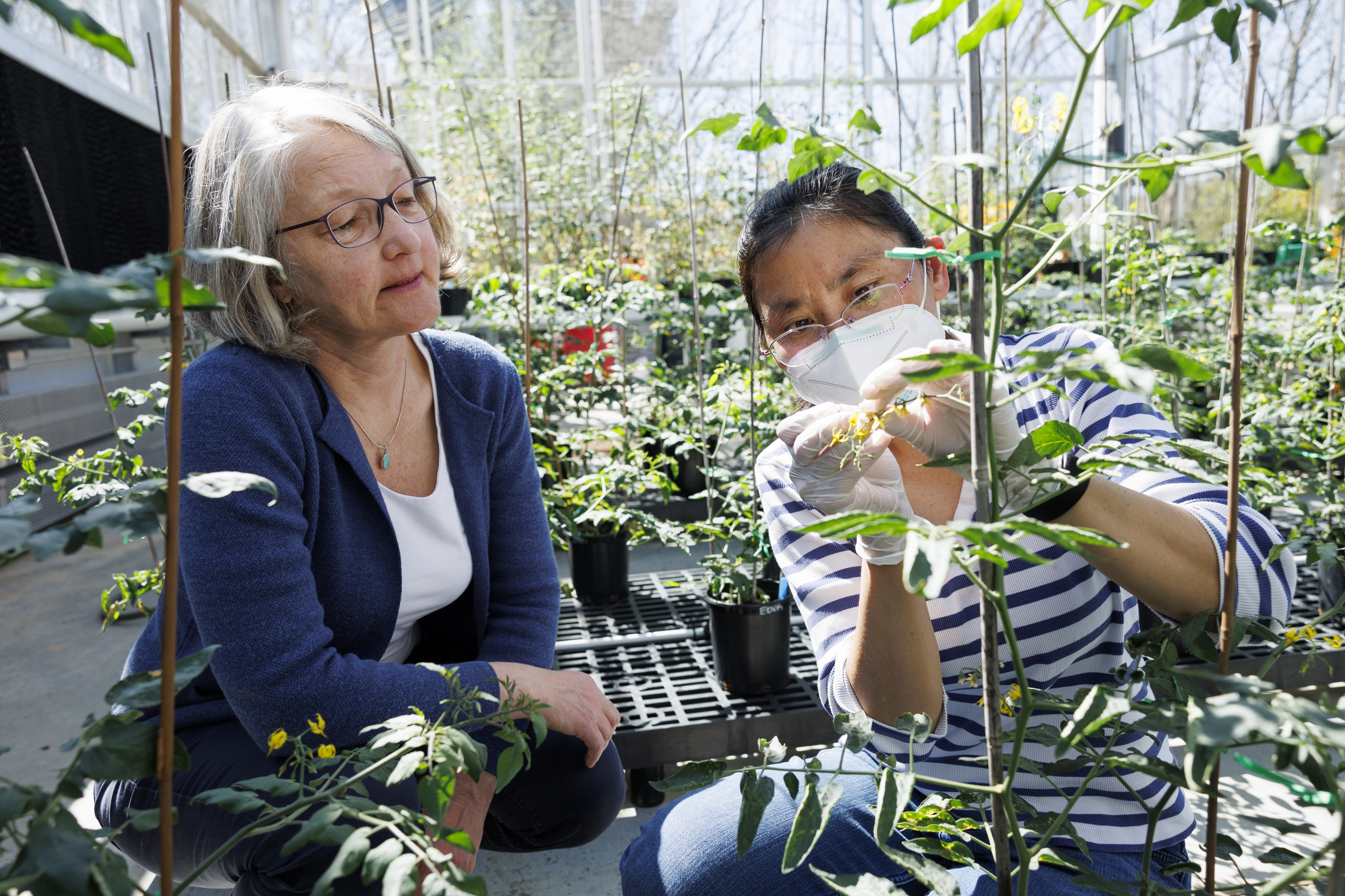 University of Georgia: Three campuses, endless graduate possibilities