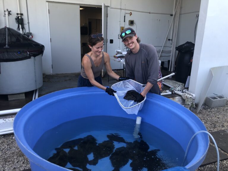 University of Miami: Bringing marine conservation to the community