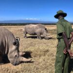 13 universities with the best wildlife conservation degrees