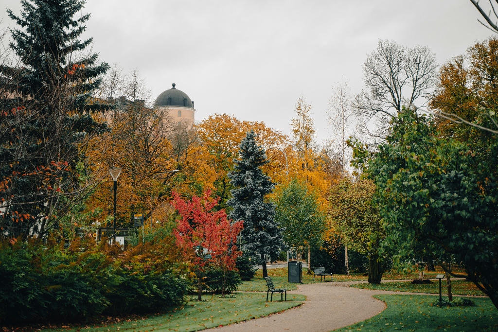 walkable student cities