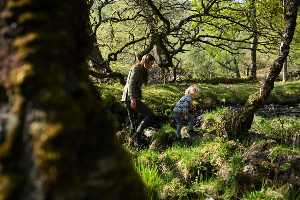 7 universities that are located inside forests