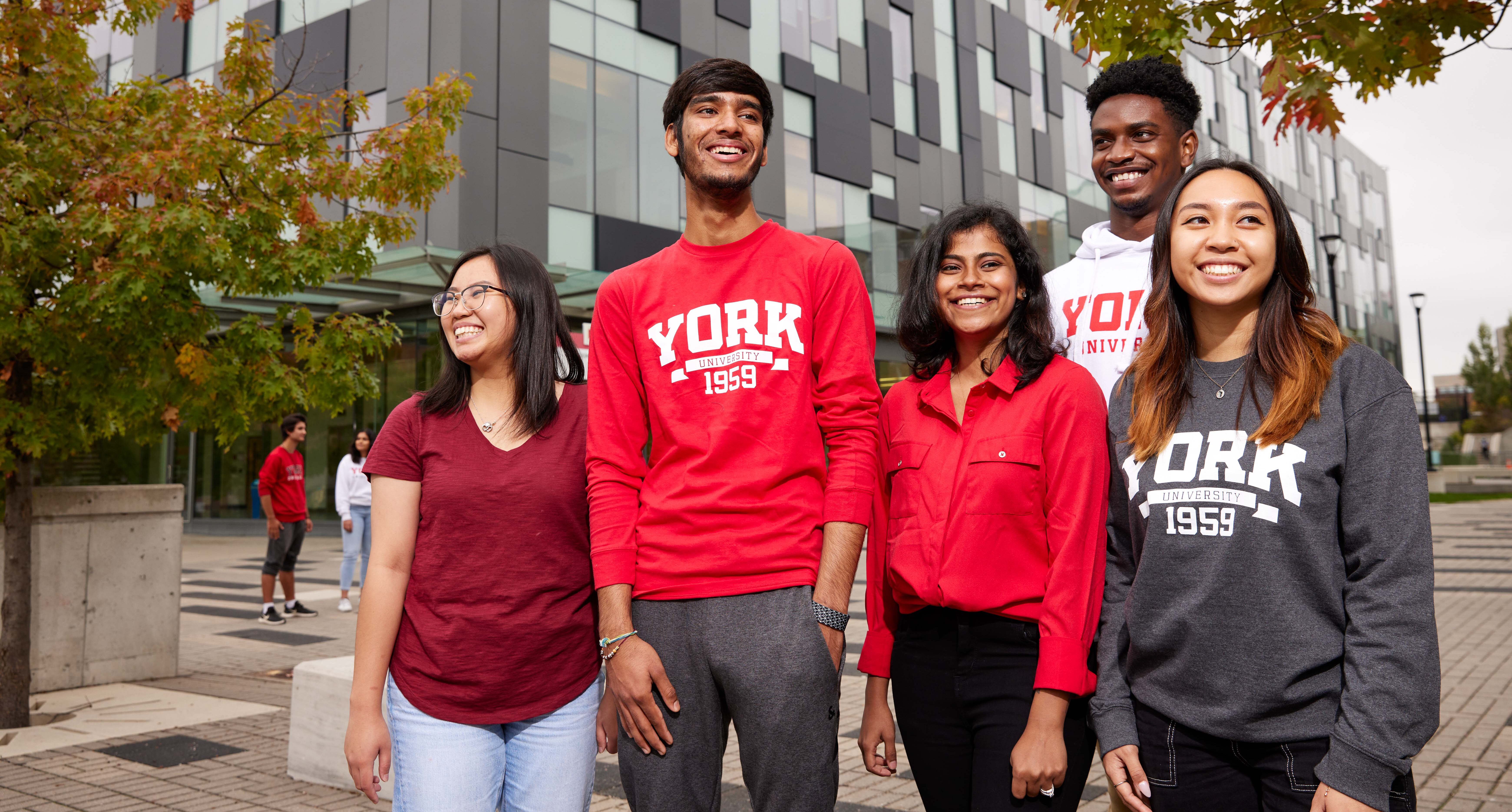 York University