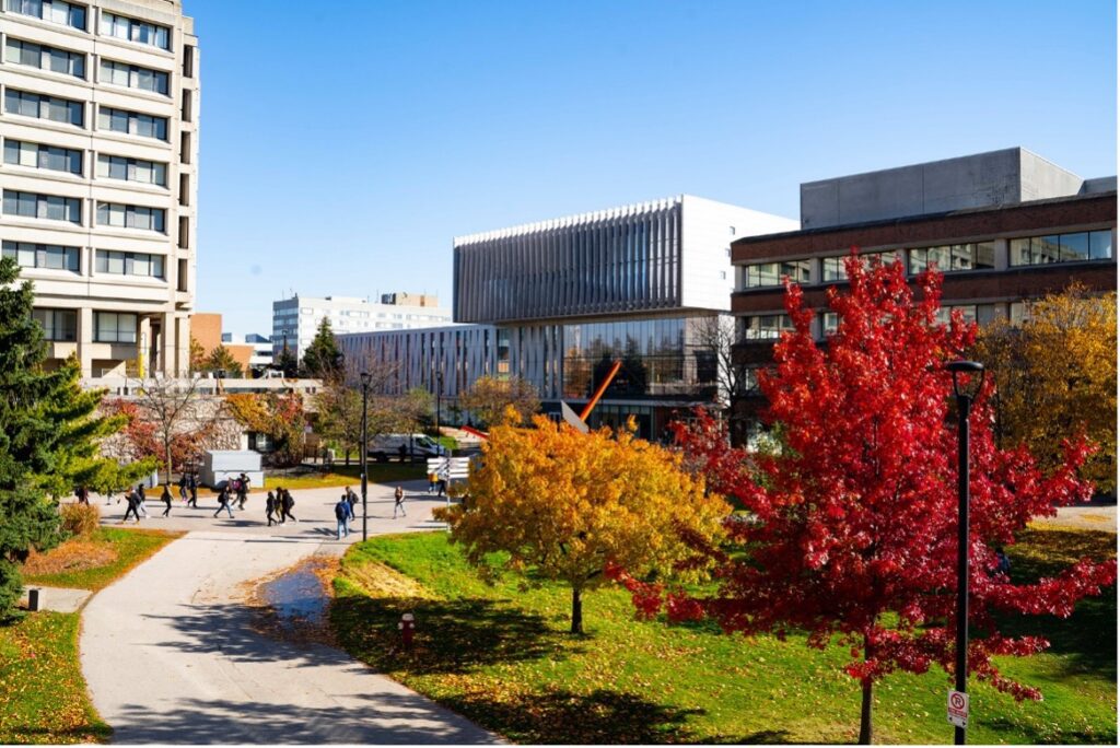 York University