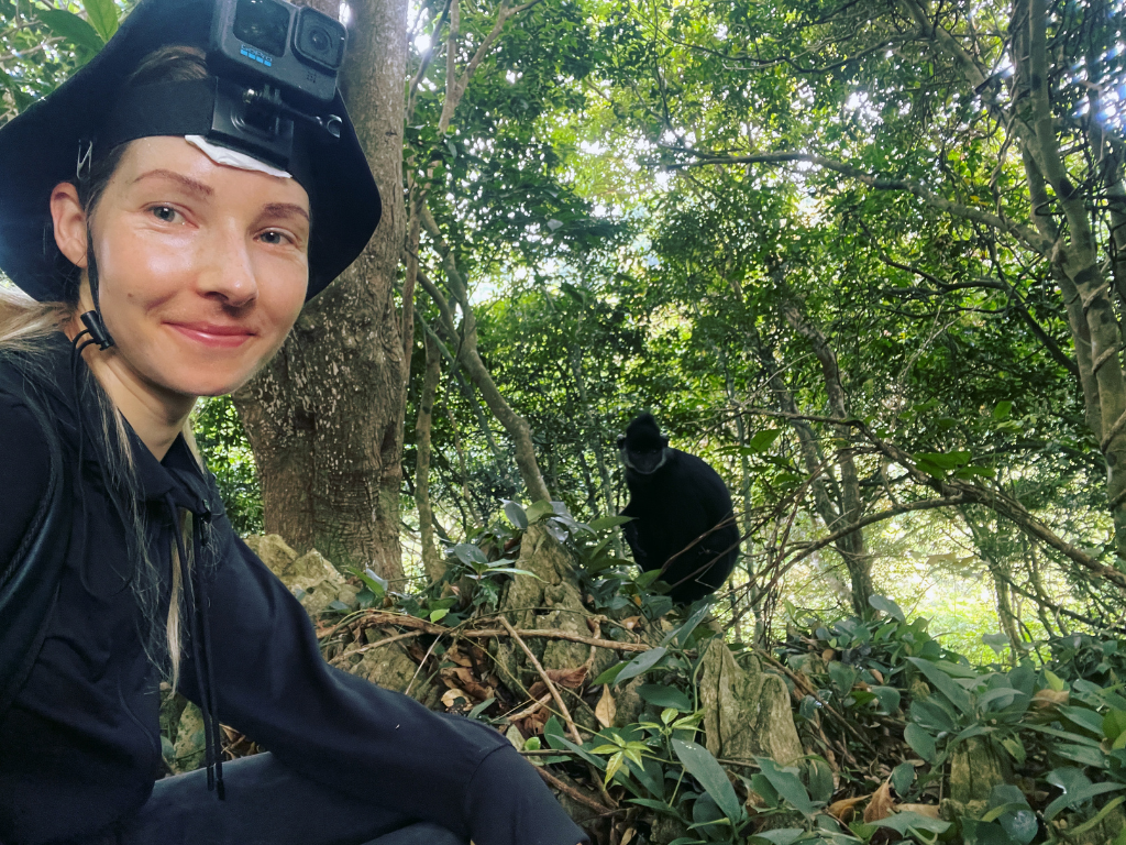 primatology wildlife science