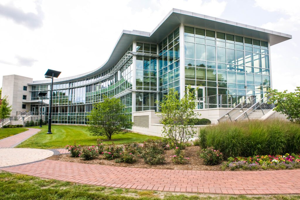 Lewis University