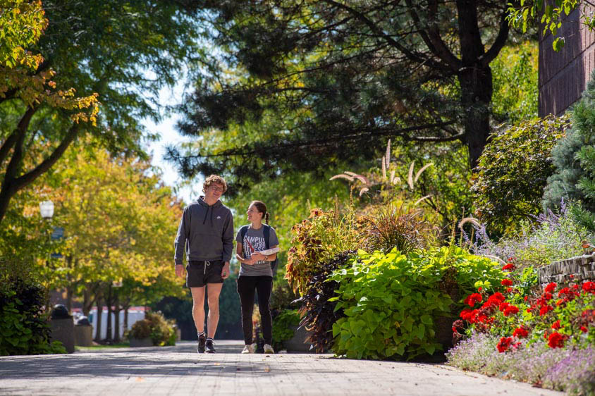 Lewis University: A forward-thinking MS in Artificial Intelligence