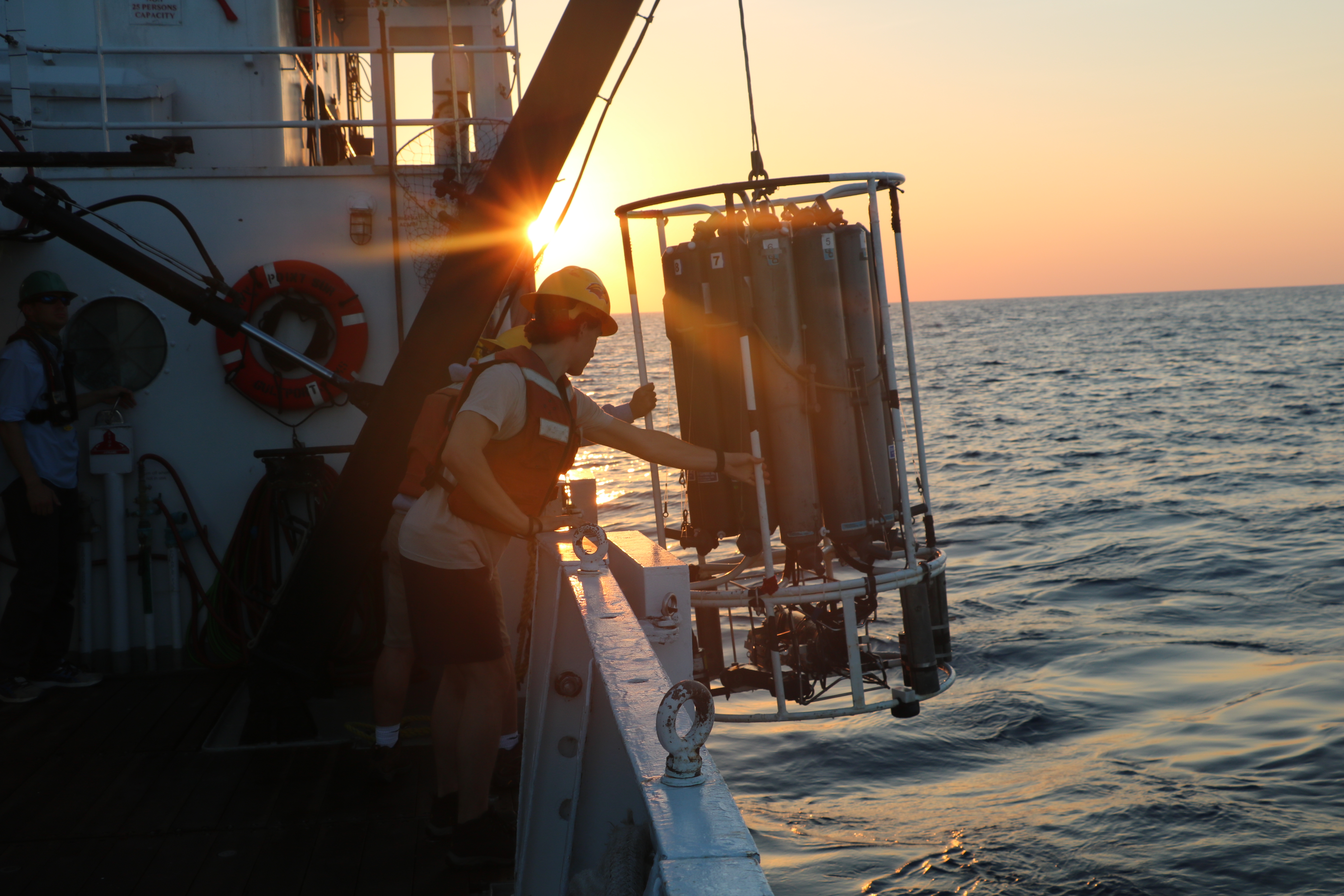 Texas A&M University