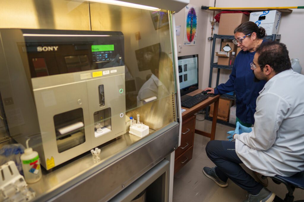 University of New Hampshire