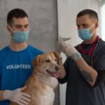 13 cheapest universities to pursue veterinary science in 2026