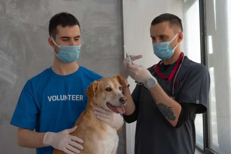 veterinary science