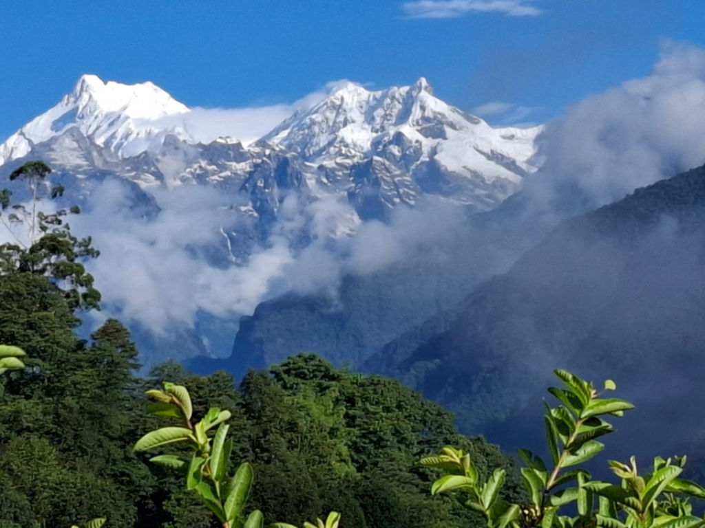 cultural anthropology