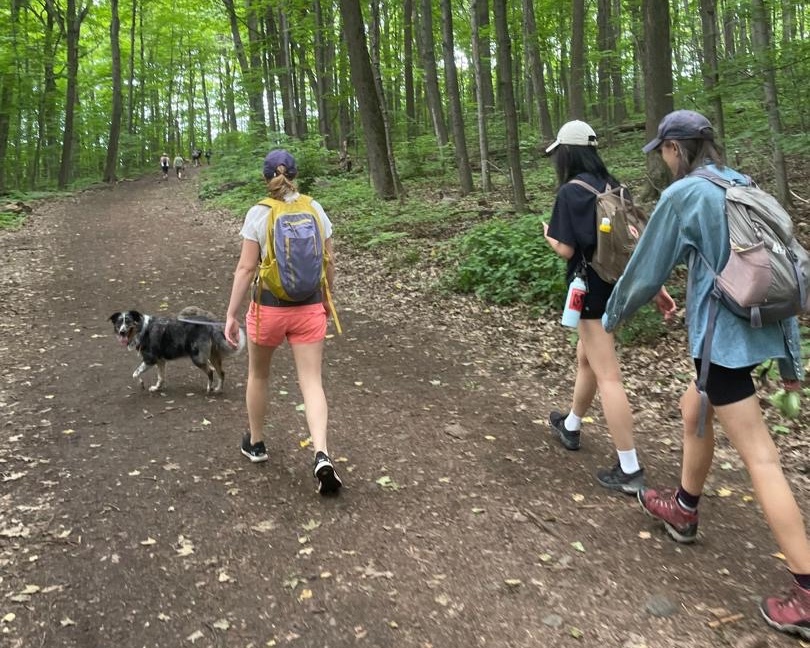 24 hours in Montreal