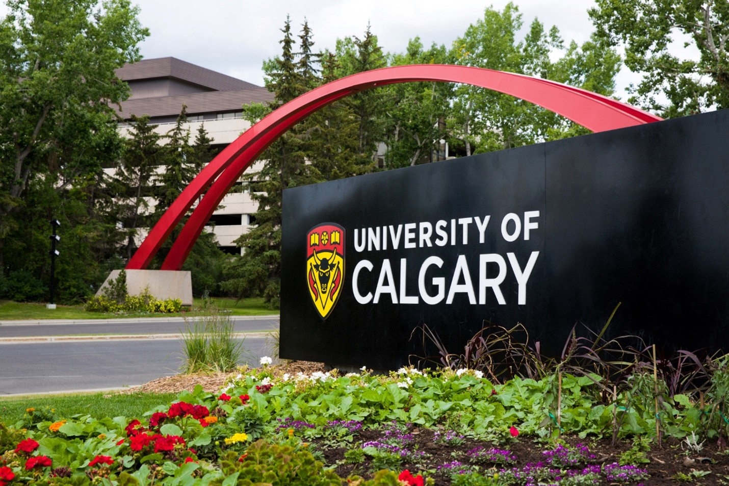 Lead the digital revolution with the University of Calgary