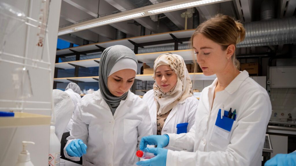 Malmö University: Graduates benefit from the university’s strong industry partnerships