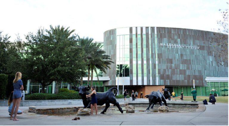 University of South Florida: Data-driven engineering degrees for the future
