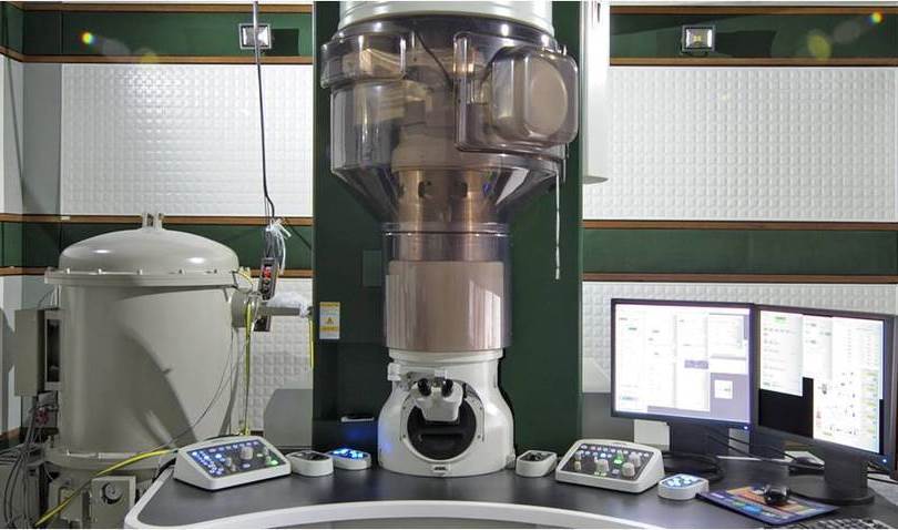 Nelson Mandela University