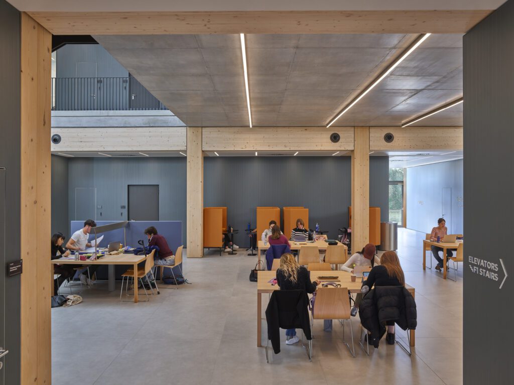 Humanitas University