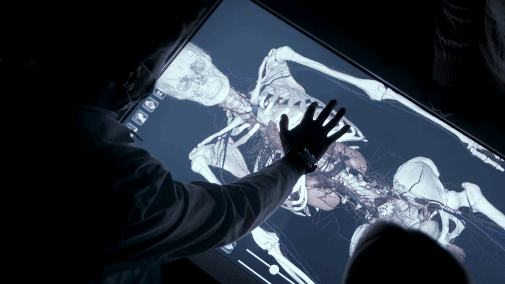 Humanitas University