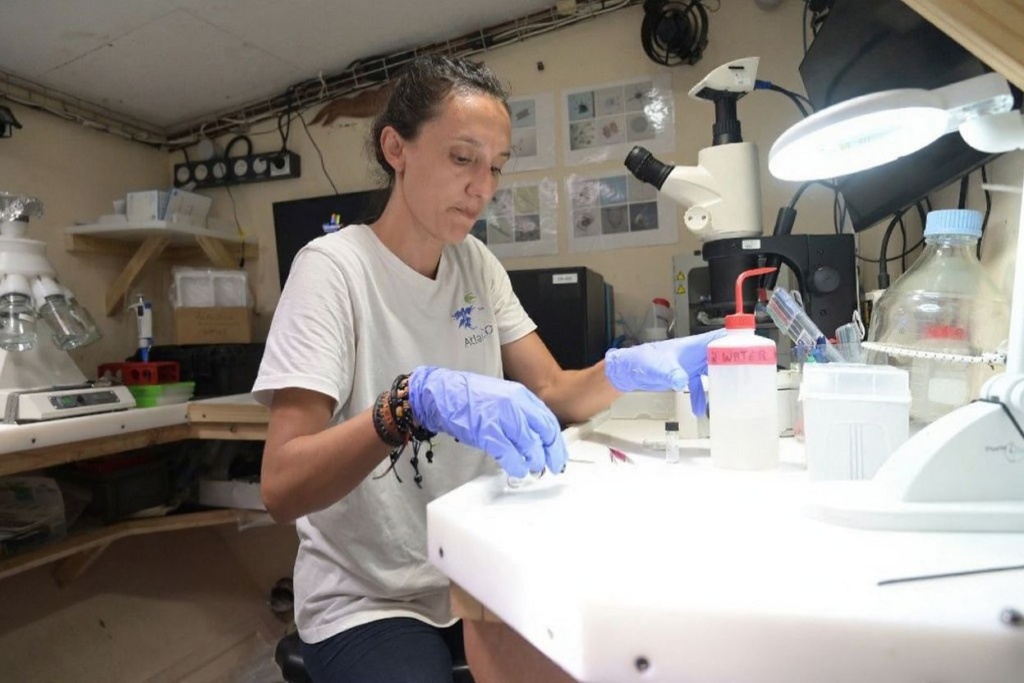 Women make up only 34% of the workforce in science, technology, engineering and math (STEM). Source: