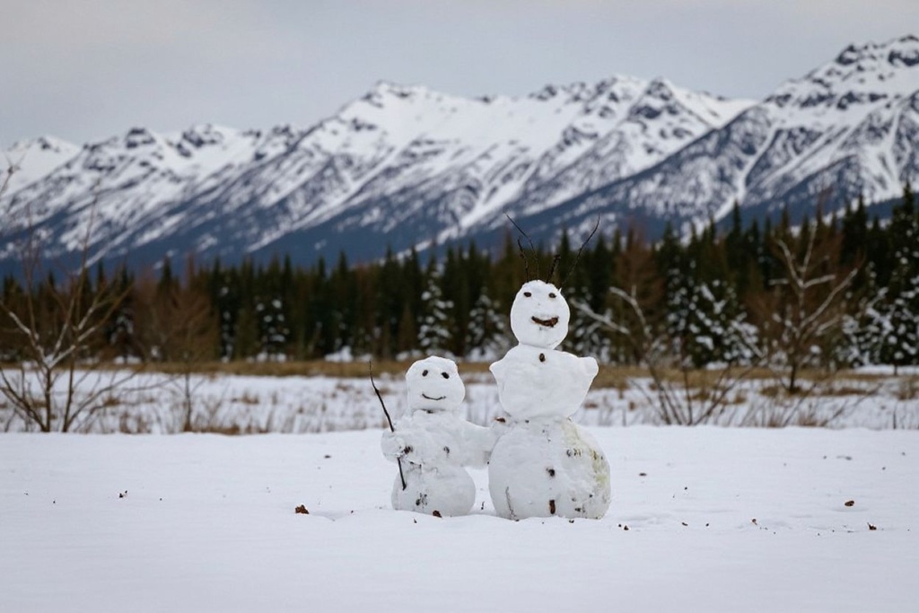 Alaska comes in at first place on the list of coldest states in the US.Source: