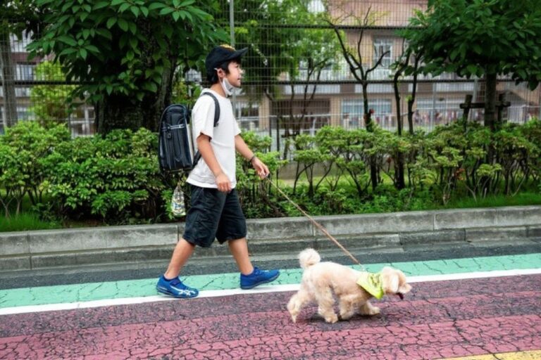 The best part-time jobs for students in 2024