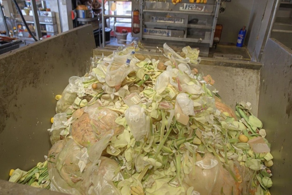 Too Good to Go stops restaurants from wasting food while allowing you to get your hands on delicious food. Source: BORIS CAMBRELENG/