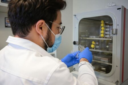 Countries offering the highest PhD stipends