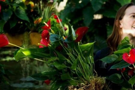 Degree apprenticeships in the UK: 'Bold' reform needed to grow enrolment