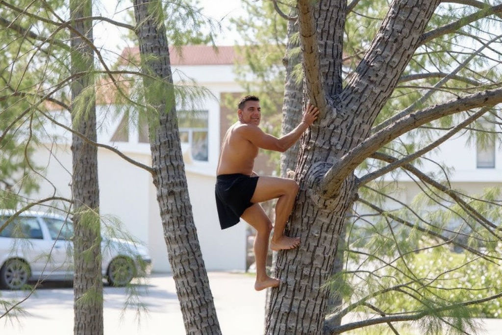 Did you know it is illegal to climb trees in Oshawa, Canada? Source: