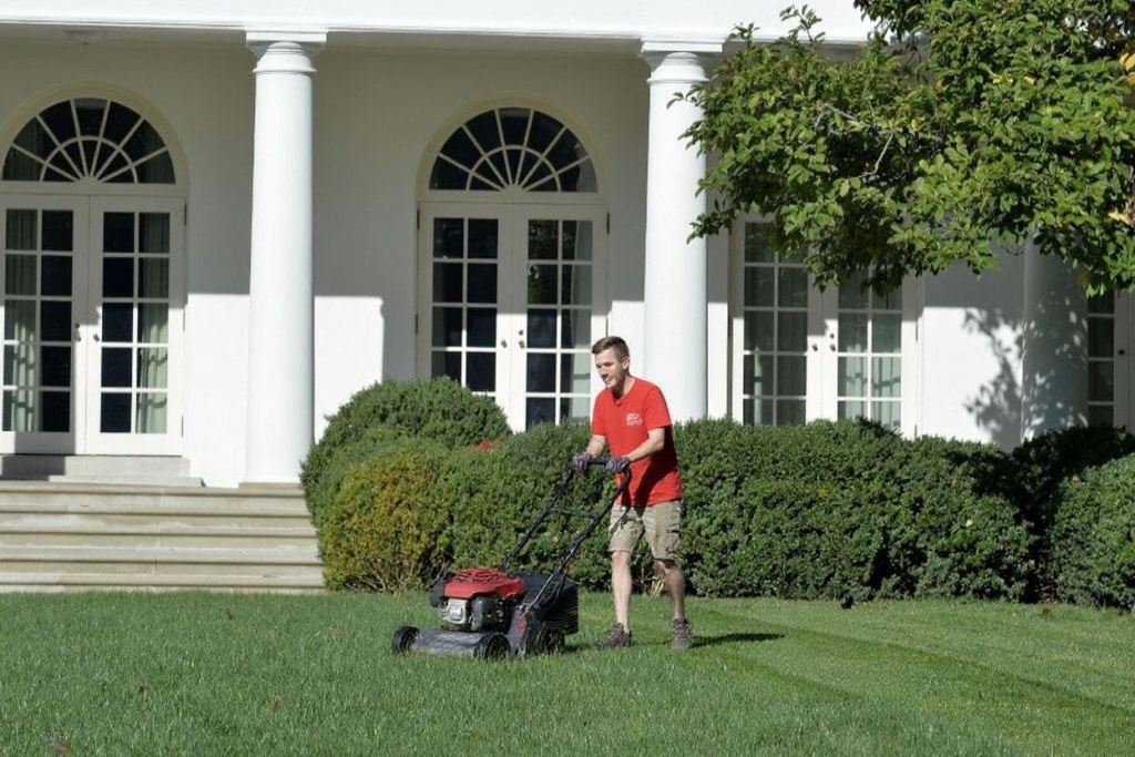 Mowing lawns is one of the best teen jobs that allows you to earn money while exercising. Source: Mike Theiler/