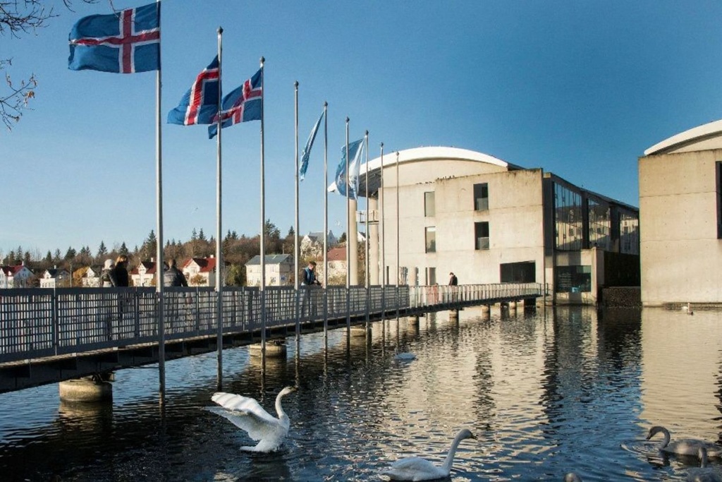 Source: Halldor Kolbeins/