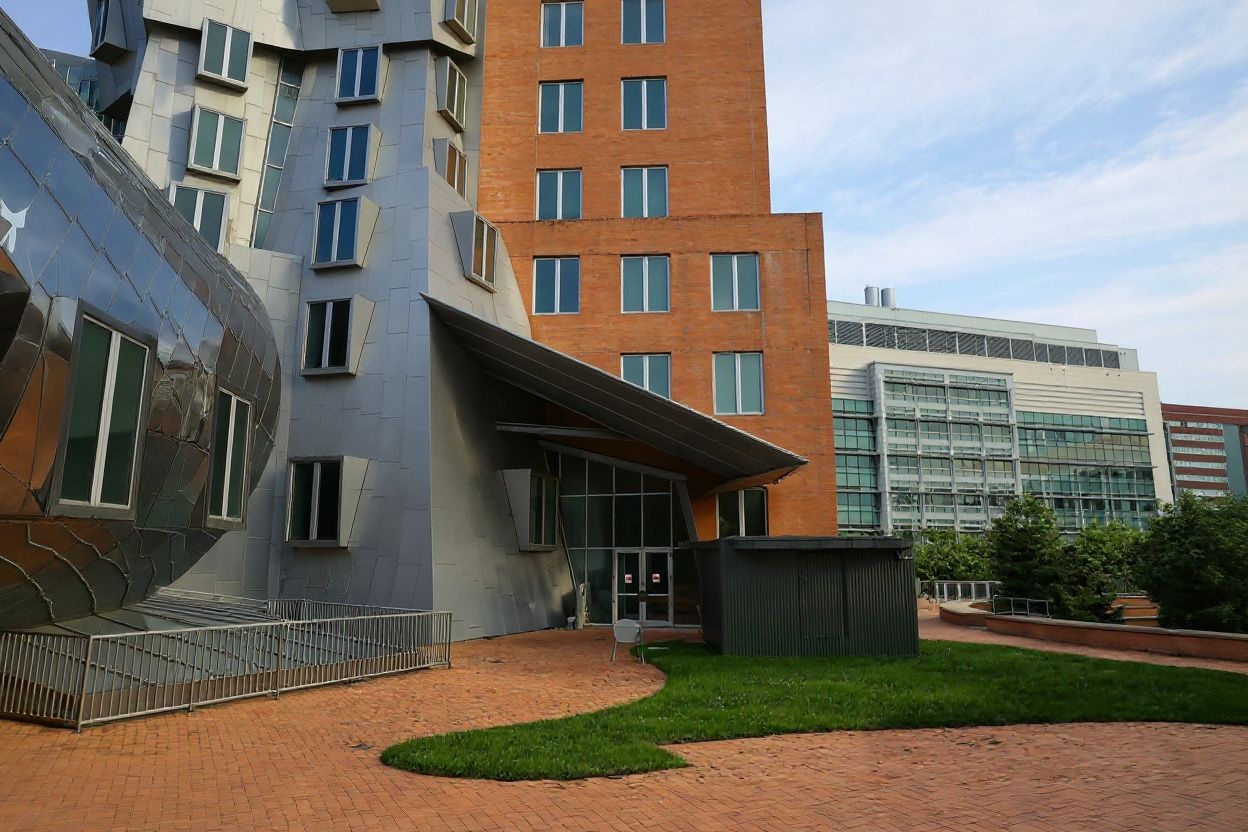 Source: Maddie Meyer/Getty Images North America/ Getty Images/