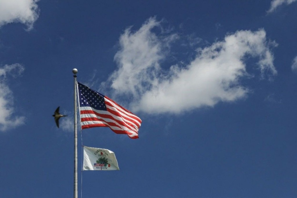 Source: David Cannon/ David Cannon Collection/Getty Images/