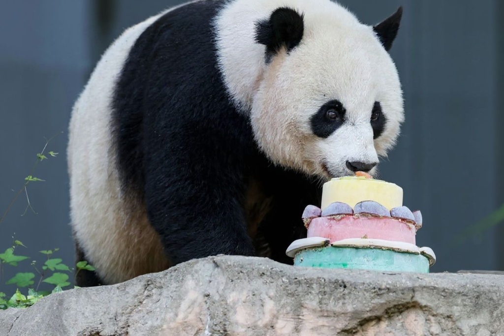 The best resume-maker apps make the whole process a piece of cake. Source: