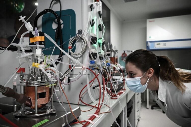 US adds 22 STEM courses to OPT Extension to lure international students