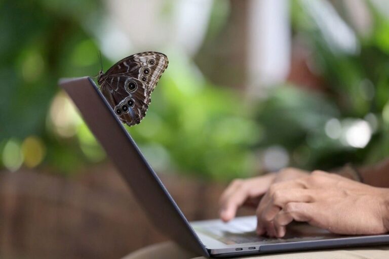 Netflix and study: How can online students deal with distractions?