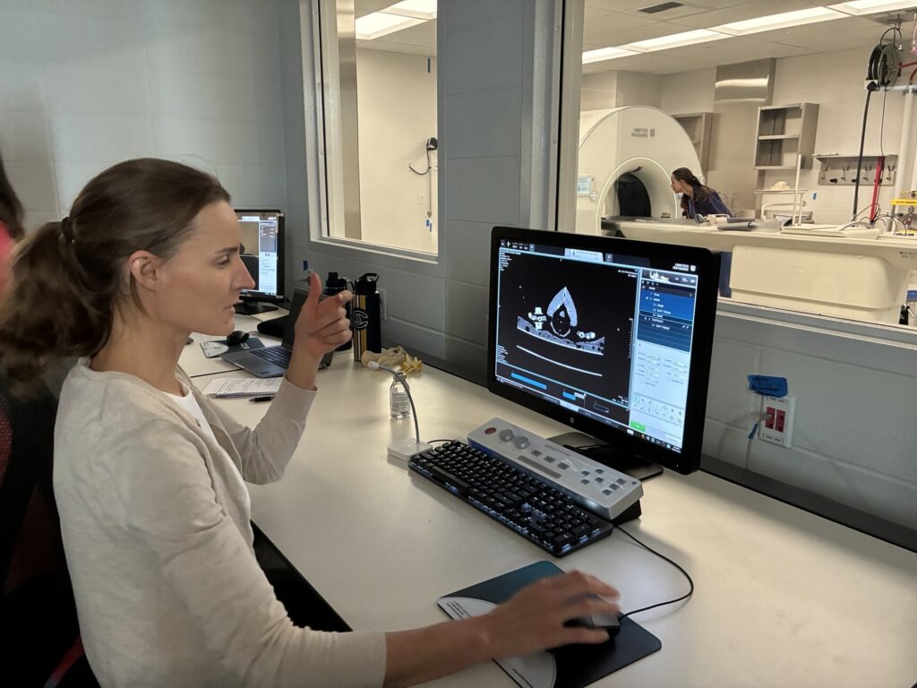 UC Davis School of Veterinary Medicine/Facebook