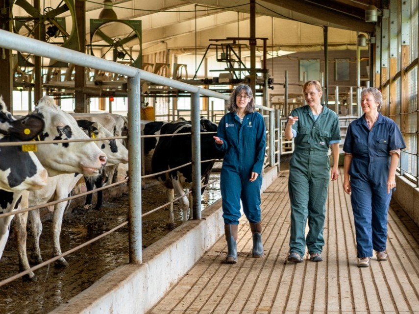 Cornell University College of Veterinary Medicine/Facebook