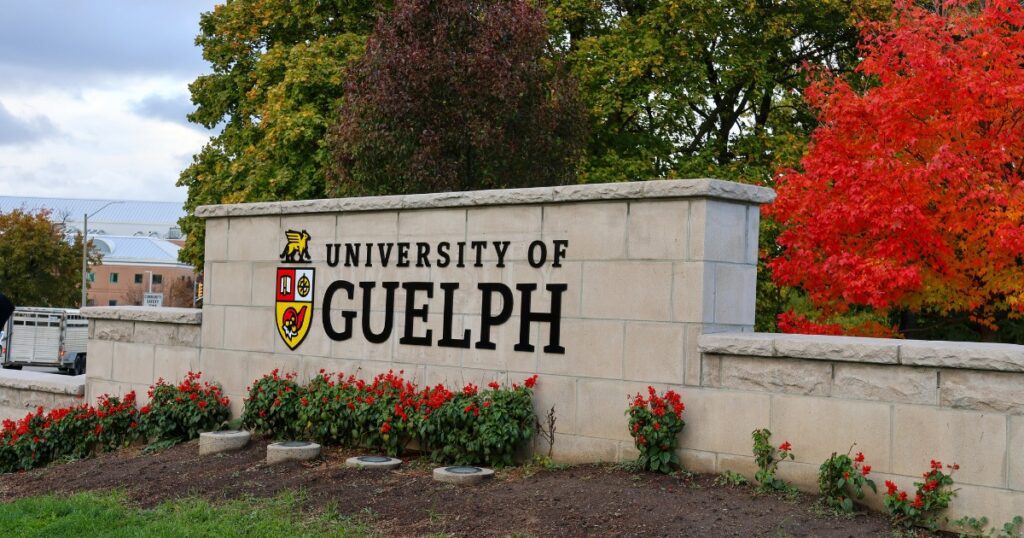 University of Guelph/Facebook